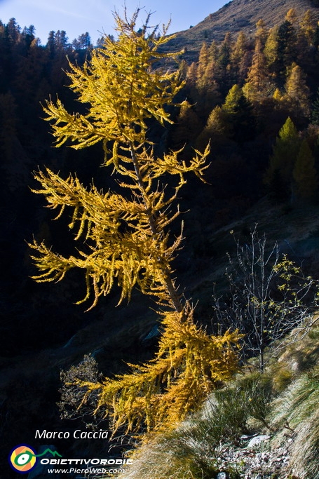 32__Autunno in val d'inferno.JPG